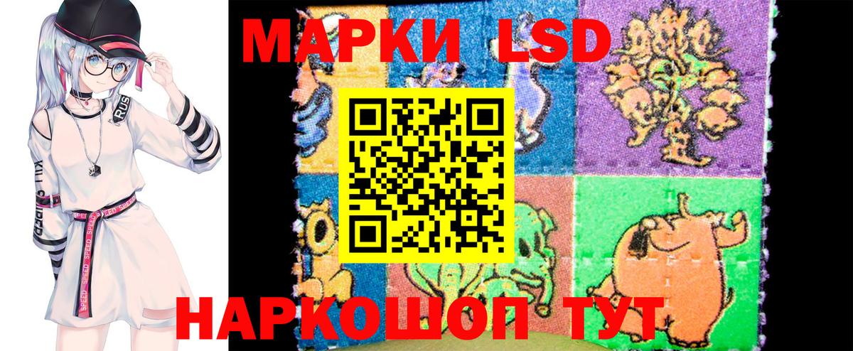 Наркотические марки 1500мкг  Вход с VPN  сколько стоит  Лесной 