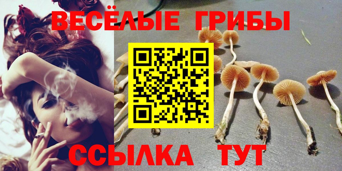 Лесной  Галлюциногенные грибы прущие грибы  Вход с VPN  Галлюциногенные грибы Magic Shrooms 